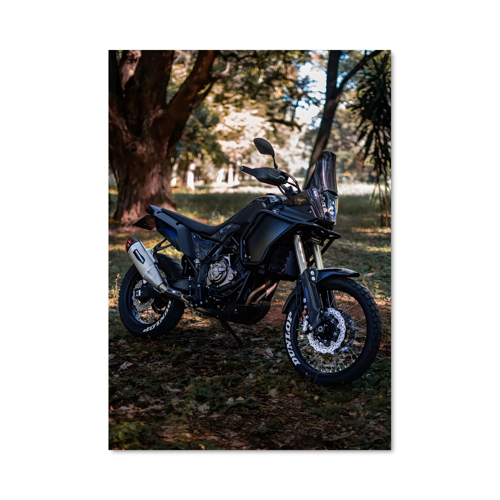 Poster Éblouissant Tenere